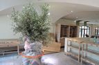 Vapiano-Dresden-Neumarkt-5.jpg