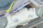 Baufortschritt-Juedenhof-Dresden-22-04-2016_4.jpg